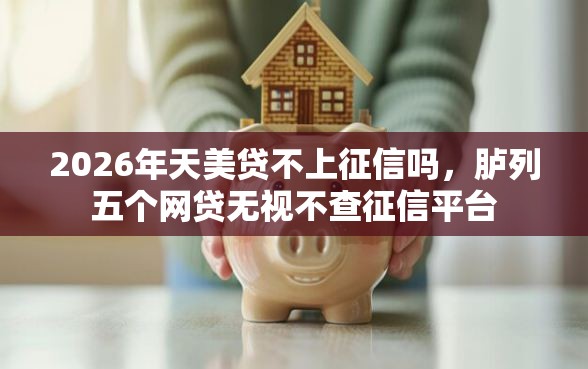 2026年天美贷不上征信吗，胪列五个网贷无视不查征信平台