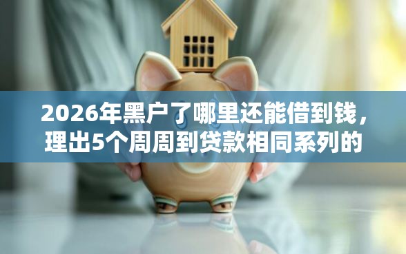 2026年黑户了哪里还能借到钱，理出5个周周到贷款相同系列的口子