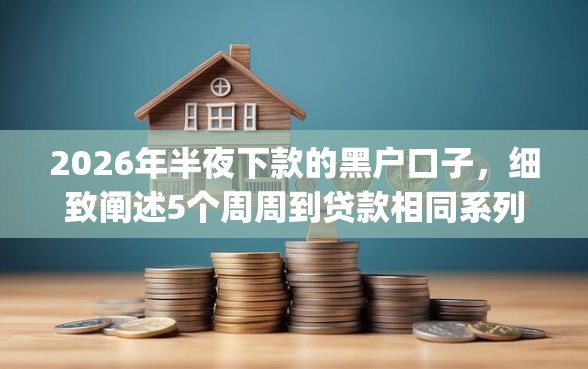 2026年半夜下款的黑户口子，细致阐述5个周周到贷款相同系列的app