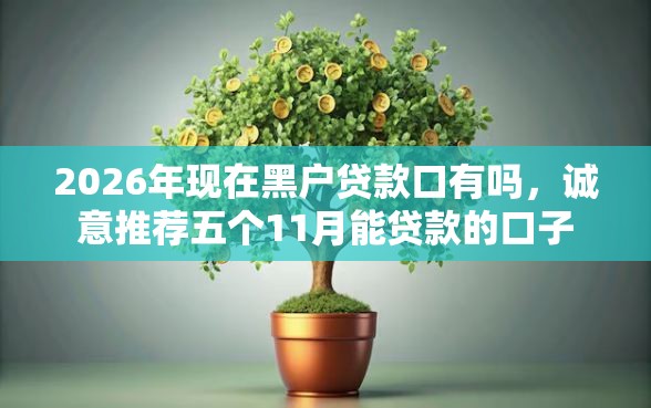 2026年现在黑户贷款口有吗，诚意推荐五个11月能贷款的口子