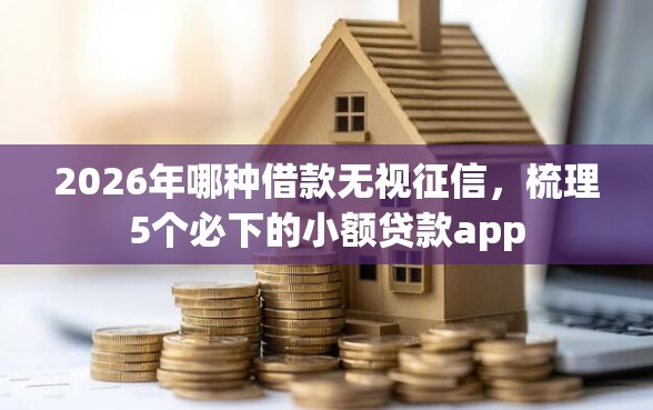 2026年哪种借款无视征信，梳理5个必下的小额贷款app