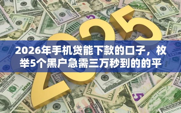 2026年手机贷能下款的口子，枚举5个黑户急需三万秒到的的平台