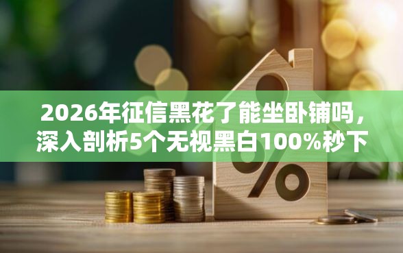 2026年征信黑花了能坐卧铺吗，深入剖析5个无视黑白100%秒下网贷平台