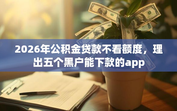 2026年公积金贷款不看额度，理出五个黑户能下款的app