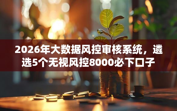 2026年大数据风控审核系统，遴选5个无视风控8000必下口子