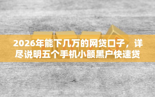 2026年能下几万的网贷口子，详尽说明五个手机小额黑户快速贷款软件