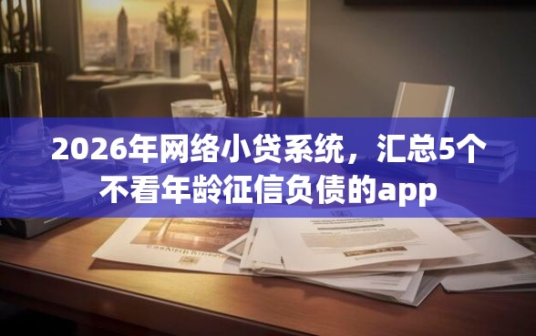 2026年网络小贷系统，汇总5个不看年龄征信负债的app