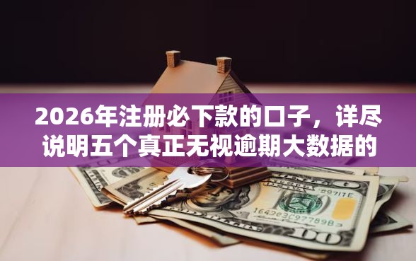 2026年注册必下款的口子，详尽说明五个真正无视逾期大数据的网贷口子
