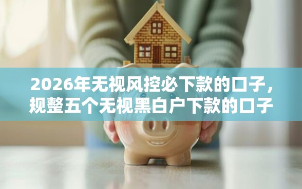 2026年无视风控必下款的口子，规整五个无视黑白户下款的口子