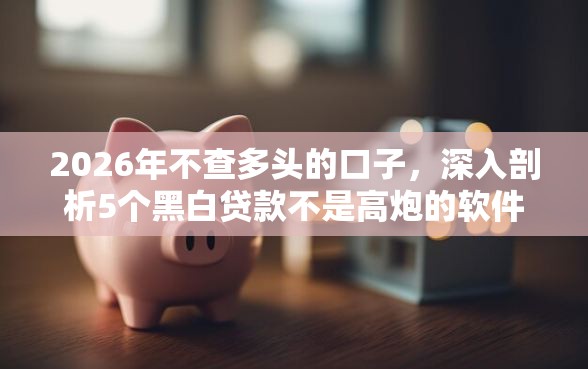 2026年不查多头的口子，深入剖析5个黑白贷款不是高炮的软件