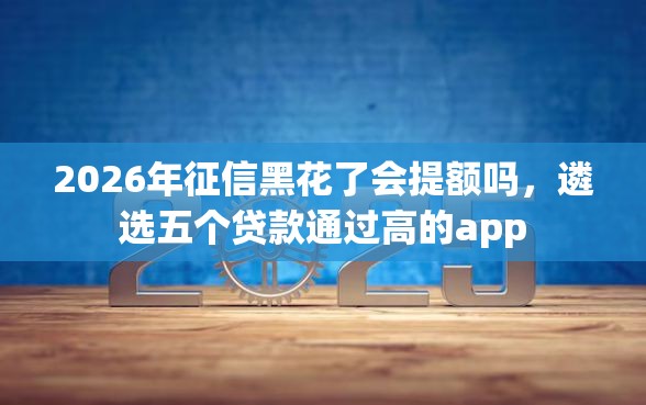 2026年征信黑花了会提额吗，遴选五个贷款通过高的app