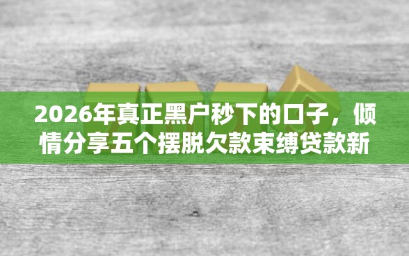 2026年真正黑户秒下的口子,倾情分享五个摆脱欠款束缚贷款新软件 2026年真正黑户秒下的口子,倾情分享五个摆脱欠款束缚贷款新软件