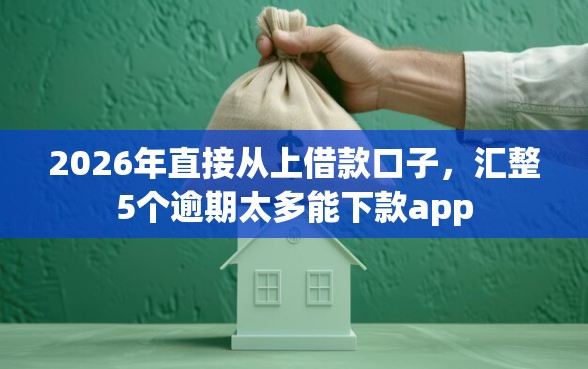 2026年直接从上借款口子，汇整5个逾期太多能下款app