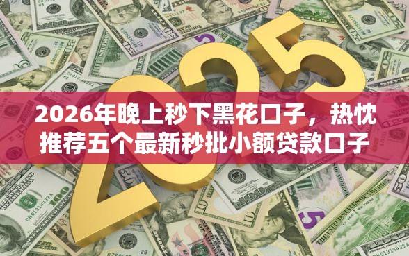 2026年晚上秒下黑花口子，热忱推荐五个最新秒批小额贷款口子