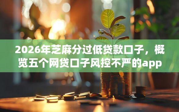 2026年芝麻分过低贷款口子，概览五个网贷口子风控不严的app