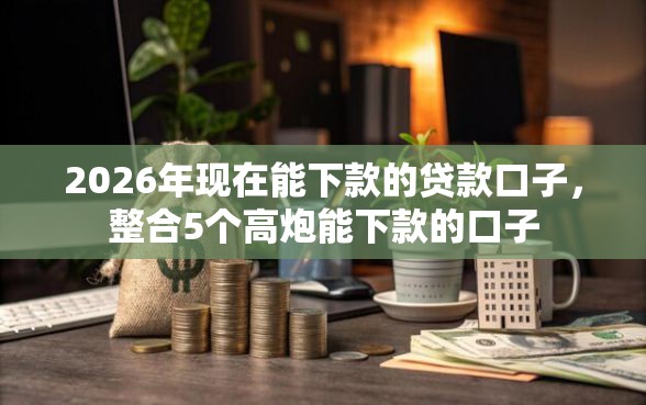 2026年现在能下款的贷款口子，整合5个高炮能下款的口子