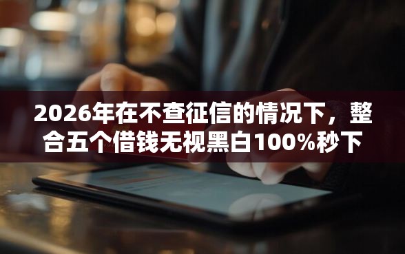 2026年在不查征信的情况下，整合五个借钱无视黑白100%秒下软件