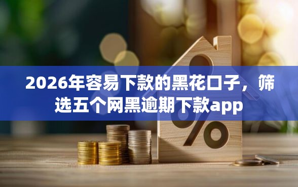 2026年容易下款的黑花口子，筛选五个网黑逾期下款app