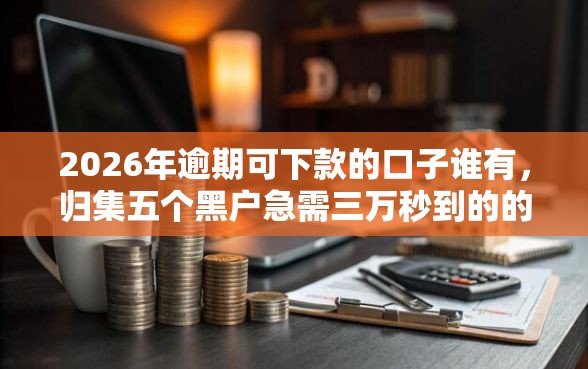 2026年逾期可下款的口子谁有，归集五个黑户急需三万秒到的的软件