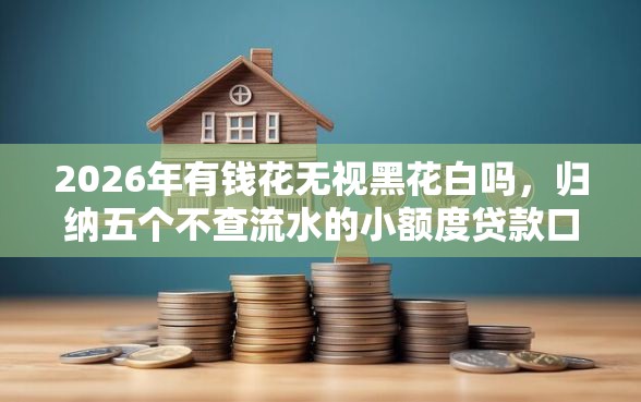 2026年有钱花无视黑花白吗，归纳五个不查流水的小额度贷款口子