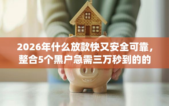 2026年什么放款快又安全可靠，整合5个黑户急需三万秒到的的app