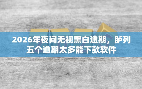 2026年夜间无视黑白逾期，胪列五个逾期太多能下款软件