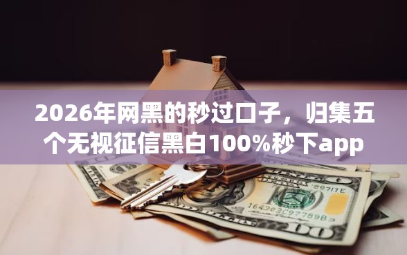 2026年网黑的秒过口子，归集五个无视征信黑白100%秒下app