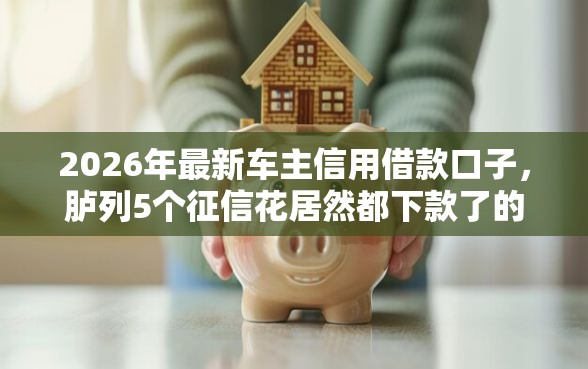 2026年最新车主信用借款口子，胪列5个征信花居然都下款了的平台