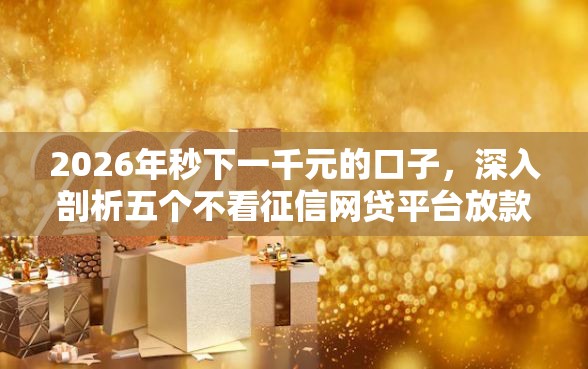 2026年秒下一千元的口子，深入剖析五个不看征信网贷平台放款快的软件