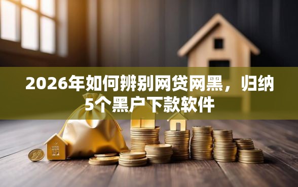 2026年如何辨别网贷网黑，归纳5个黑户下款软件