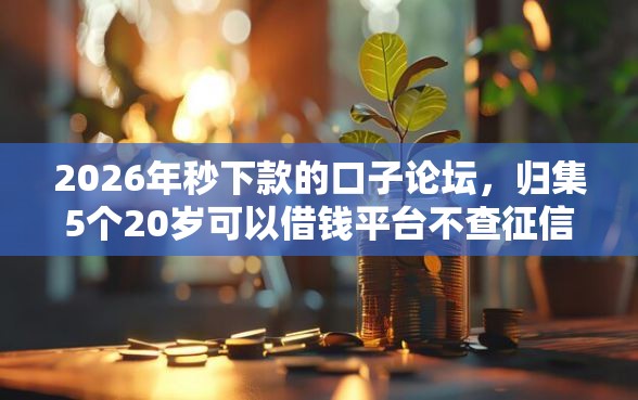 2026年秒下款的口子论坛，归集5个20岁可以借钱平台不查征信的软件