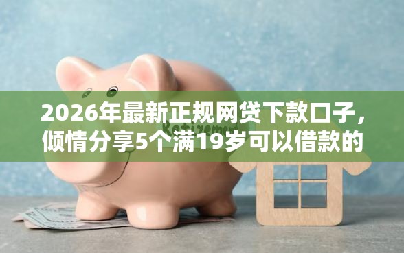 2026年最新正规网贷下款口子，倾情分享5个满19岁可以借款的平台