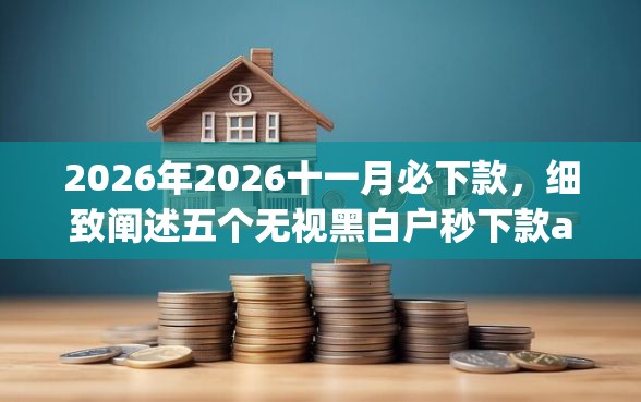2026年2026十一月必下款，细致阐述五个无视黑白户秒下款app