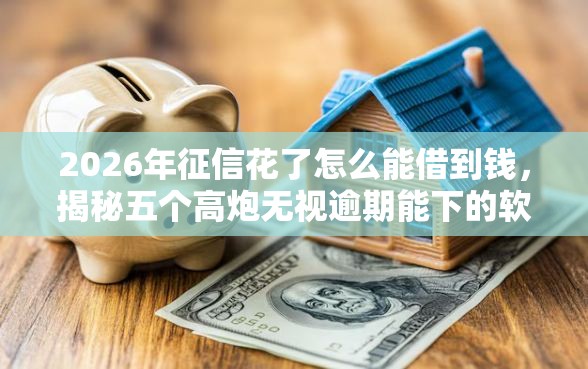 2026年征信花了怎么能借到钱，揭秘五个高炮无视逾期能下的软件
