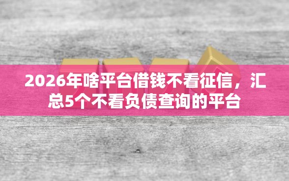 2026年啥平台借钱不看征信，汇总5个不看负债查询的平台
