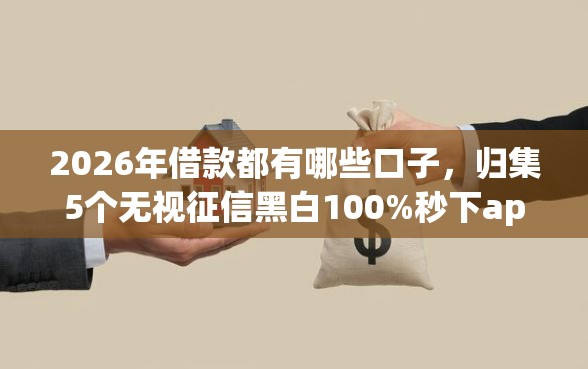 2026年借款都有哪些口子，归集5个无视征信黑白100%秒下app