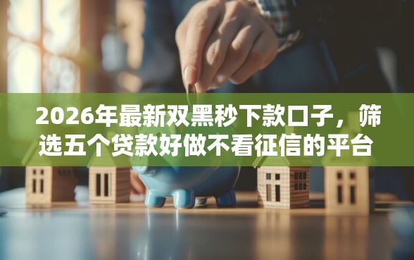 2026年最新双黑秒下款口子，筛选五个贷款好做不看征信的平台