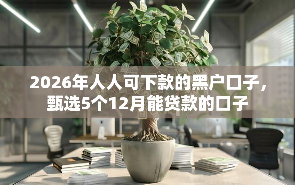 2026年人人可下款的黑户口子，甄选5个12月能贷款的口子
