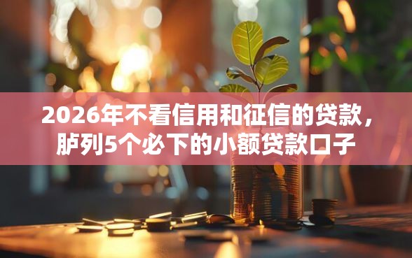 2026年不看信用和征信的贷款，胪列5个必下的小额贷款口子