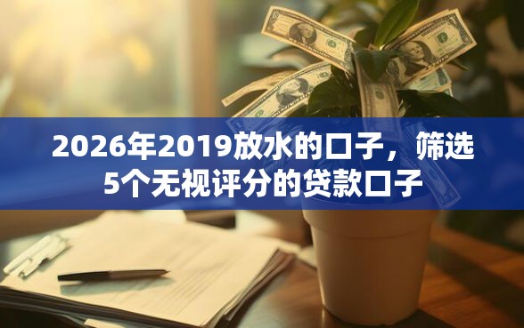 2026年2019放水的口子，筛选5个无视评分的贷款口子