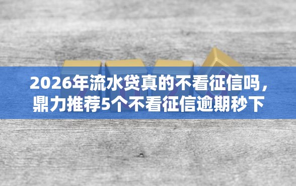 2026年流水贷真的不看征信吗，鼎力推荐5个不看征信逾期秒下款的贷款