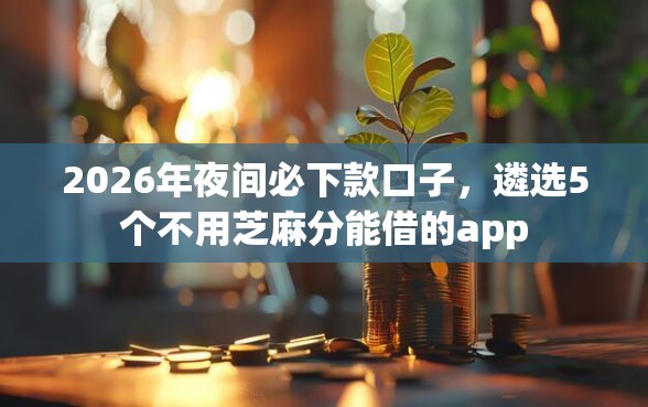 2026年夜间必下款口子，遴选5个不用芝麻分能借的app