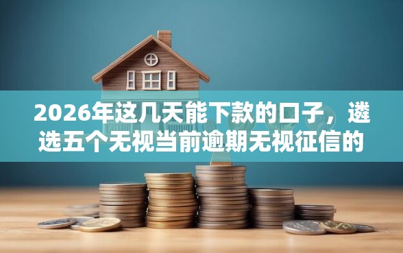 2026年这几天能下款的口子，遴选五个无视当前逾期无视征信的借款口子