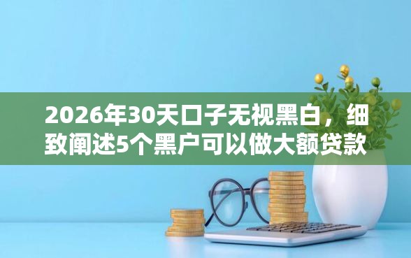 2026年30天口子无视黑白,细致阐述5个黑户可以做大额贷款口子 2026年30天口子无视黑白,细致阐述5个黑户可以做大额贷款口子