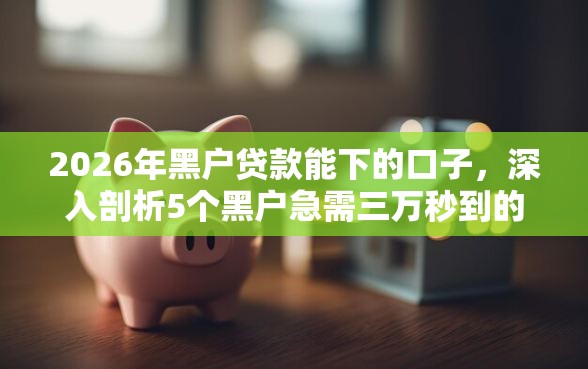 2026年黑户贷款能下的口子，深入剖析5个黑户急需三万秒到的的软件