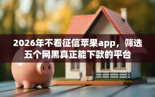 2026年不看征信苹果app，筛选五个网黑真正能下款的平台