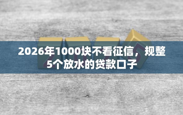 2026年1000块不看征信，规整5个放水的贷款口子