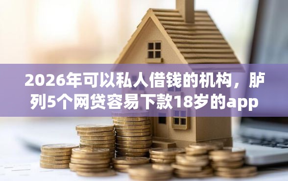 2026年可以私人借钱的机构，胪列5个网贷容易下款18岁的app