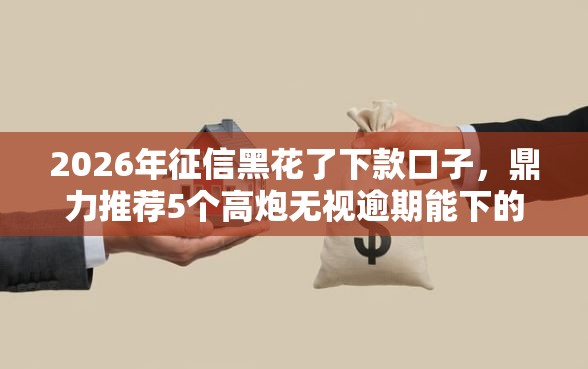 2026年征信黑花了下款口子，鼎力推荐5个高炮无视逾期能下的口子