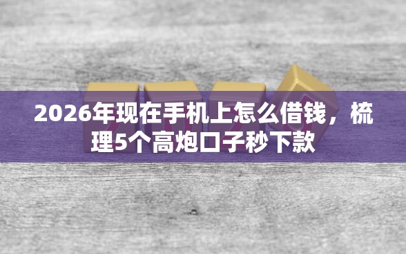 2026年现在手机上怎么借钱，梳理5个高炮口子秒下款